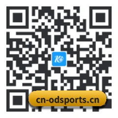 苹果版 iOS 二维码